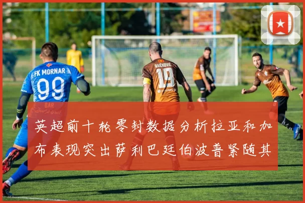 英超前十轮零封数据分析拉亚和加布表现突出萨利巴廷伯波普紧随其后