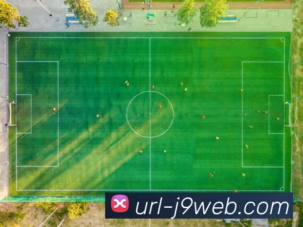 多媒体互动体验